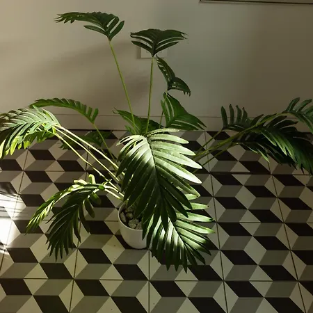 Διαμέρισμα Spacious Loft W. Balcony In The Heart Of The *